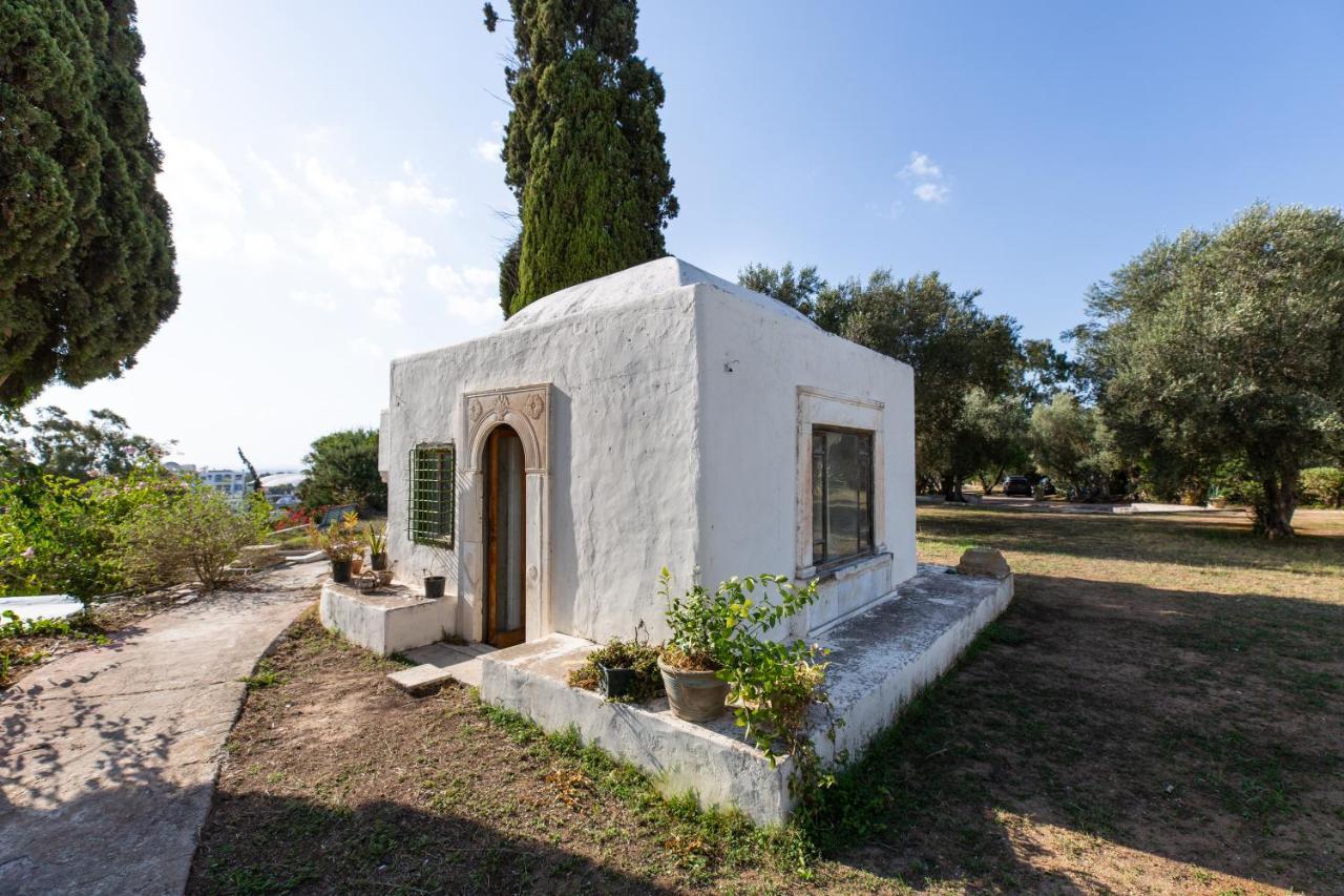 Lella Zohra, Studio Avec Piscine A Sidi Bou Said Bed & Breakfast Dış mekan fotoğraf