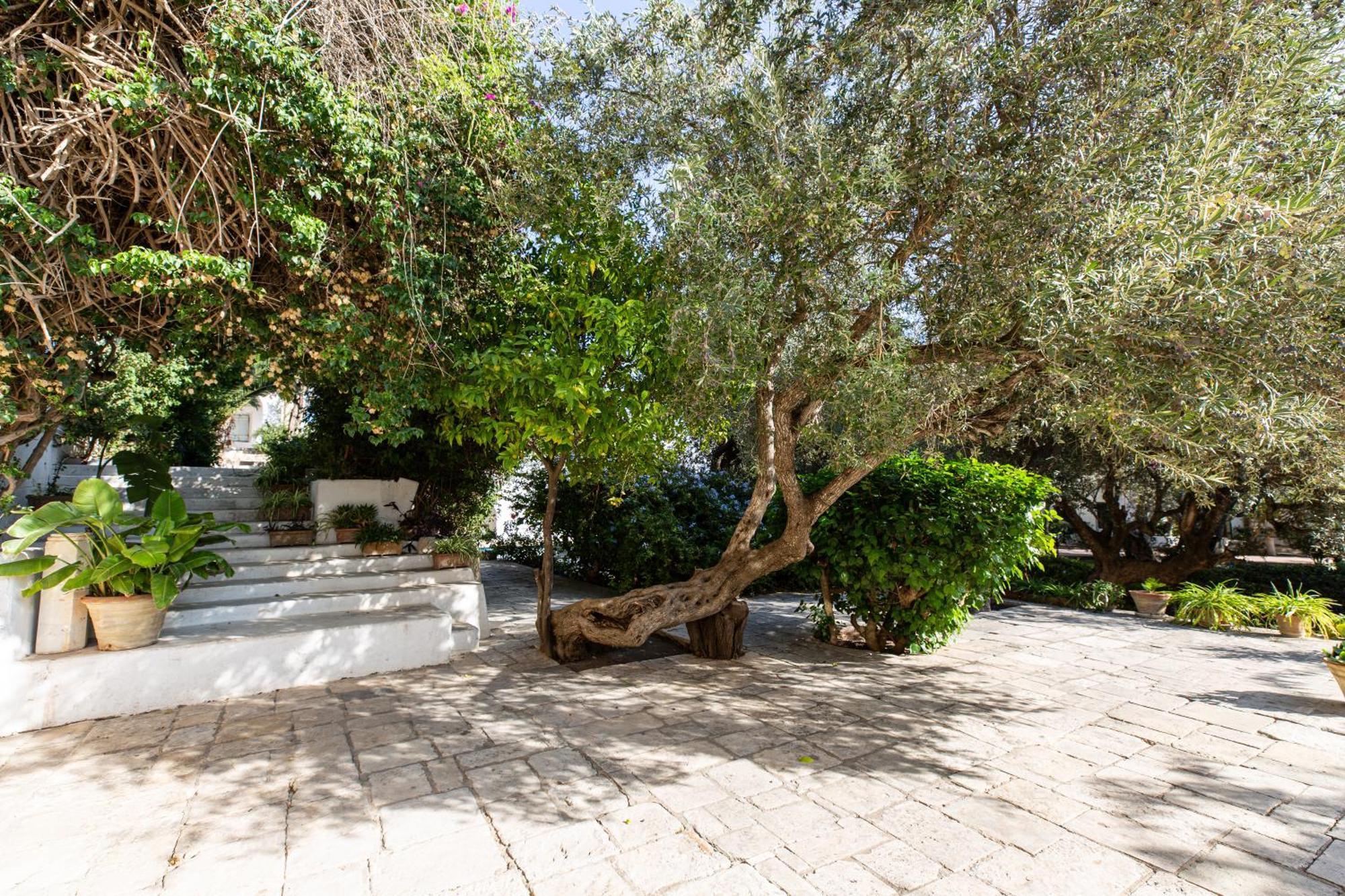 Lella Zohra, Studio Avec Piscine A Sidi Bou Said Bed & Breakfast Dış mekan fotoğraf