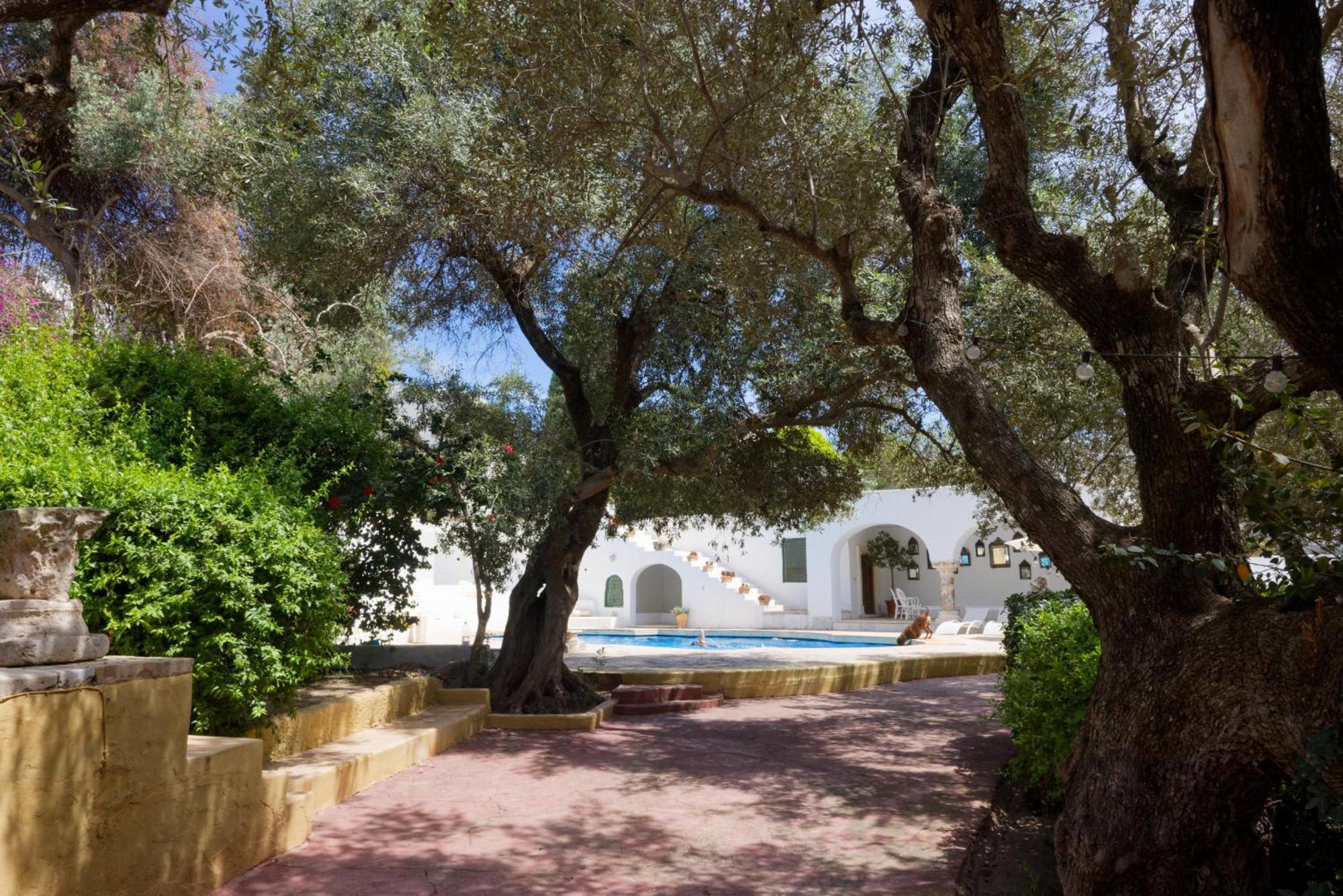 Lella Zohra, Studio Avec Piscine A Sidi Bou Said Bed & Breakfast Dış mekan fotoğraf